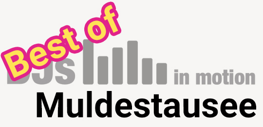 DJ Muldestausee Discjockey